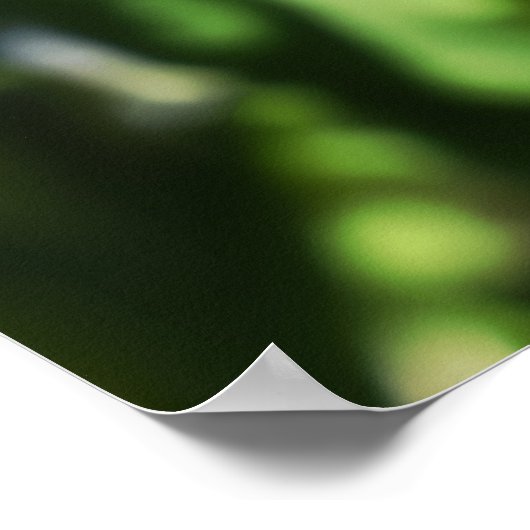 Bijen op het werk Poster (Hoek)