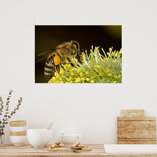 Bijen op het werk poster (Keuken)