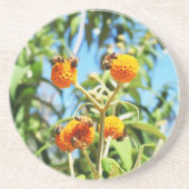 Bijen op het werk Sandstone Onderzetter (Voorkant)