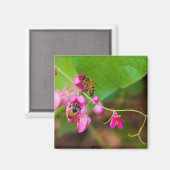 Bijen op koraalwijnbloemen magneet (Voorkant / Achterkant)