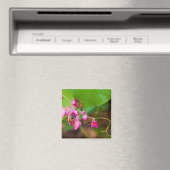 Bijen op koraalwijnbloemen magneet (Insitu (Vaatwasser))