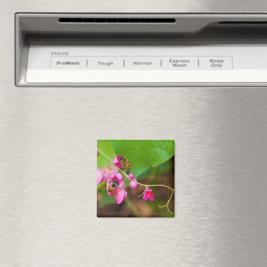 Bijen op koraalwijnbloemen magneet (Insitu (Vaatwasser))