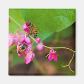 Bijen op koraalwijnbloemen magneet (Voorkant)