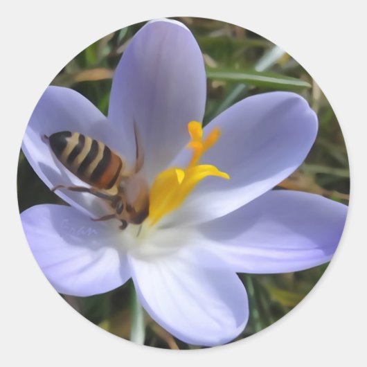 bijen op krokoes ronde sticker (Voorkant)