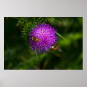 Bijen op Milk Thistle Poster