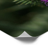 Bijen op Milk Thistle Poster (Hoek)