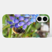 Bijen op Muscari Armeniacum, Grape Hyacinth Case-Mate iPhone Case (Achterkant (horizontaal))