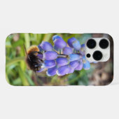Bijen op Muscari Armeniacum, Grape Hyacinth iPhone Hoesje (Achterkant horizontaal)