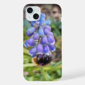 Bijen op Muscari Armeniacum, Grape Hyacinth iPhone Hoesje (Achterkant)