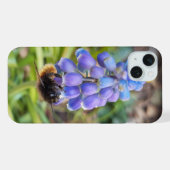 Bijen op Muscari Armeniacum, Grape Hyacinth iPhone Hoesje (Achterkant horizontaal)