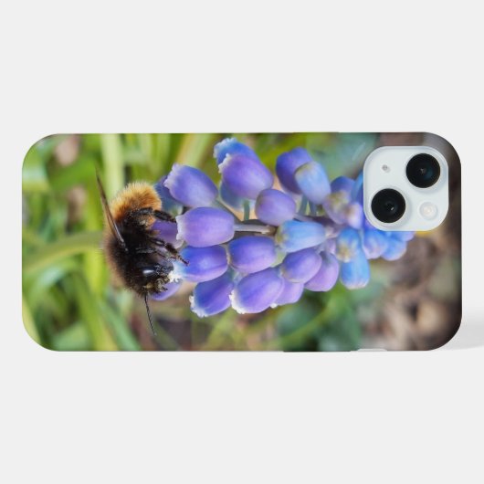 Bijen op Muscari Armeniacum, Grape Hyacinth iPhone Hoesje (Achterkant horizontaal)