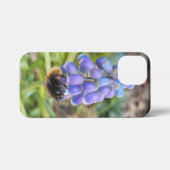 Bijen op Muscari Armeniacum, Grape Hyacinth iPhone Hoesje (Achterkant horizontaal)