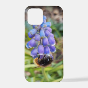 Bijen op Muscari Armeniacum, Grape Hyacinth iPhone 12 Pro Hoesje