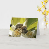 Bijen op Oranje bloesem Kaart (Gele Bloem)