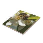 Bijen op Oranje bloesem Tegeltje (Zijkant)