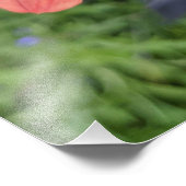 Bijen op Oranje Dahlia Bloom Floral Foto Afdruk (Hoek)