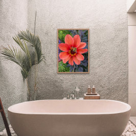 Bijen op Oranje Dahlia Bloom Floral Foto Afdruk