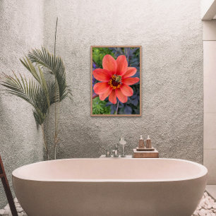 Bijen op Oranje Dahlia Bloom Floral Foto Afdruk