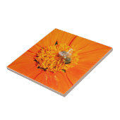 bijen op oranje tegel tegeltje (Zijkant)