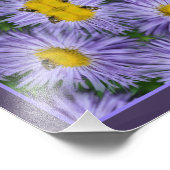 Bijen op Paarse Aster Flowers Natuur Abstract Foto Afdruk (Hoek)