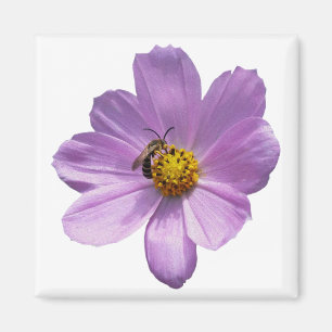 Bijen op paarse bloemen magneet