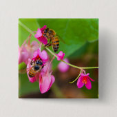 Bijen op roze koraalwijnbloemen close-up foto vierkante button 5,1 cm (Voorkant)