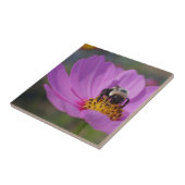 Bijen op roze kosmos, ventilatorNatuur Tegeltje (Zijkant)