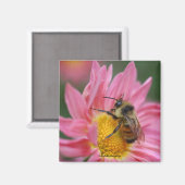 Bijen op roze madeliefje bloem foto magneet (Voorkant / Achterkant)