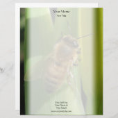 Bijen op witte bloem gepersonaliseerd briefhoofd (Voorkant / Achterkant)