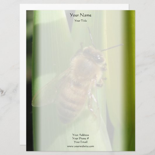 Bijen op witte bloem gepersonaliseerd briefhoofd (Voorkant / Achterkant)