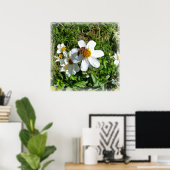 bijen op witte bloem poster (Thuiskantoor)