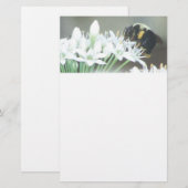 Bijen op witte bloesems briefpapier (Voorkant / Achterkant)