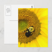 Bijen op zonnebloem briefkaart (Voorkant / Achterkant)