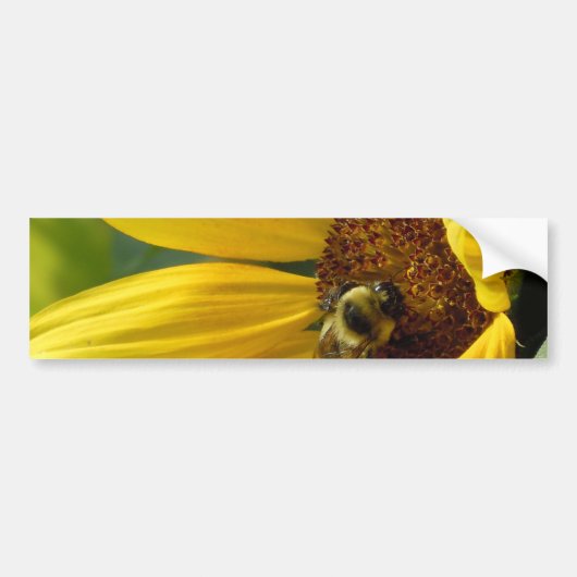 Bijen op zonnebloem bumpersticker (Voorkant)