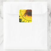 Bijen op Zonnebloem Je bent mijn Zonneschijn Vierkante Sticker (Tas)