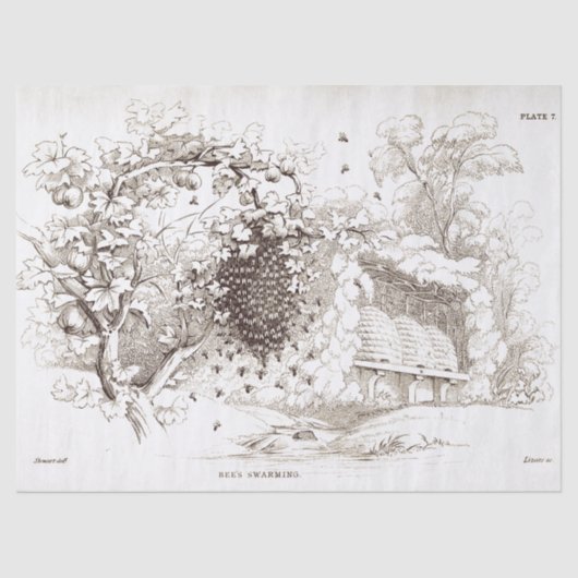  bijen opwarmen tissuepapier (Voorkant)