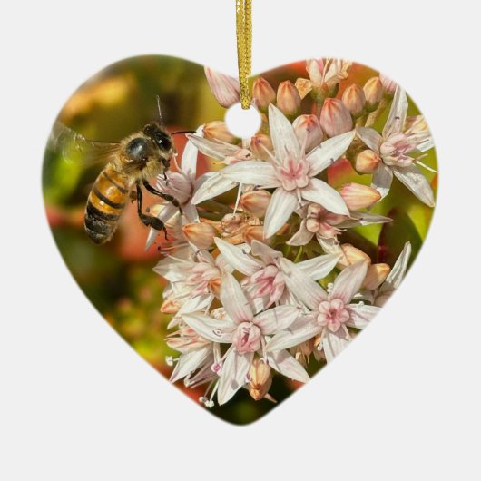 Bijen, Ornament (Voorkant)