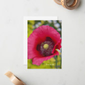 Bijen & papaver notitiekaartje (Voorkant / Achterkant in situ)