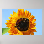 Bijen Partij 2 Poster (Voorkant)