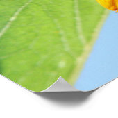 Bijen Partij 2 Poster (Hoek)