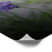 Bijen, Poster (Hoek)