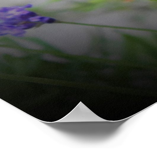 Bijen, Poster (Hoek)