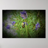 Bijen, Poster (Voorkant)