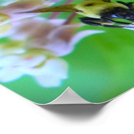 Bijen, Poster (Hoek)