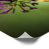 Bijen, Poster (Hoek)