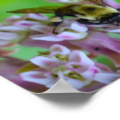 Bijen, Poster (Hoek)