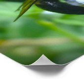 Bijen, Poster (Hoek)