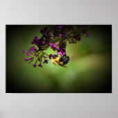 Bijen, Poster (Voorkant)