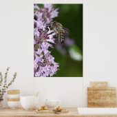 Bijen Poster (Keuken)