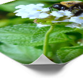 Bijen, Poster (Hoek)